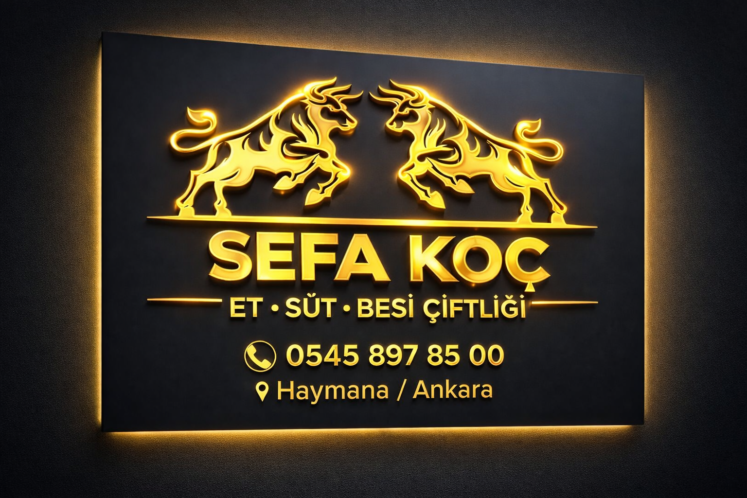 Büyükbaş kurbanlık 